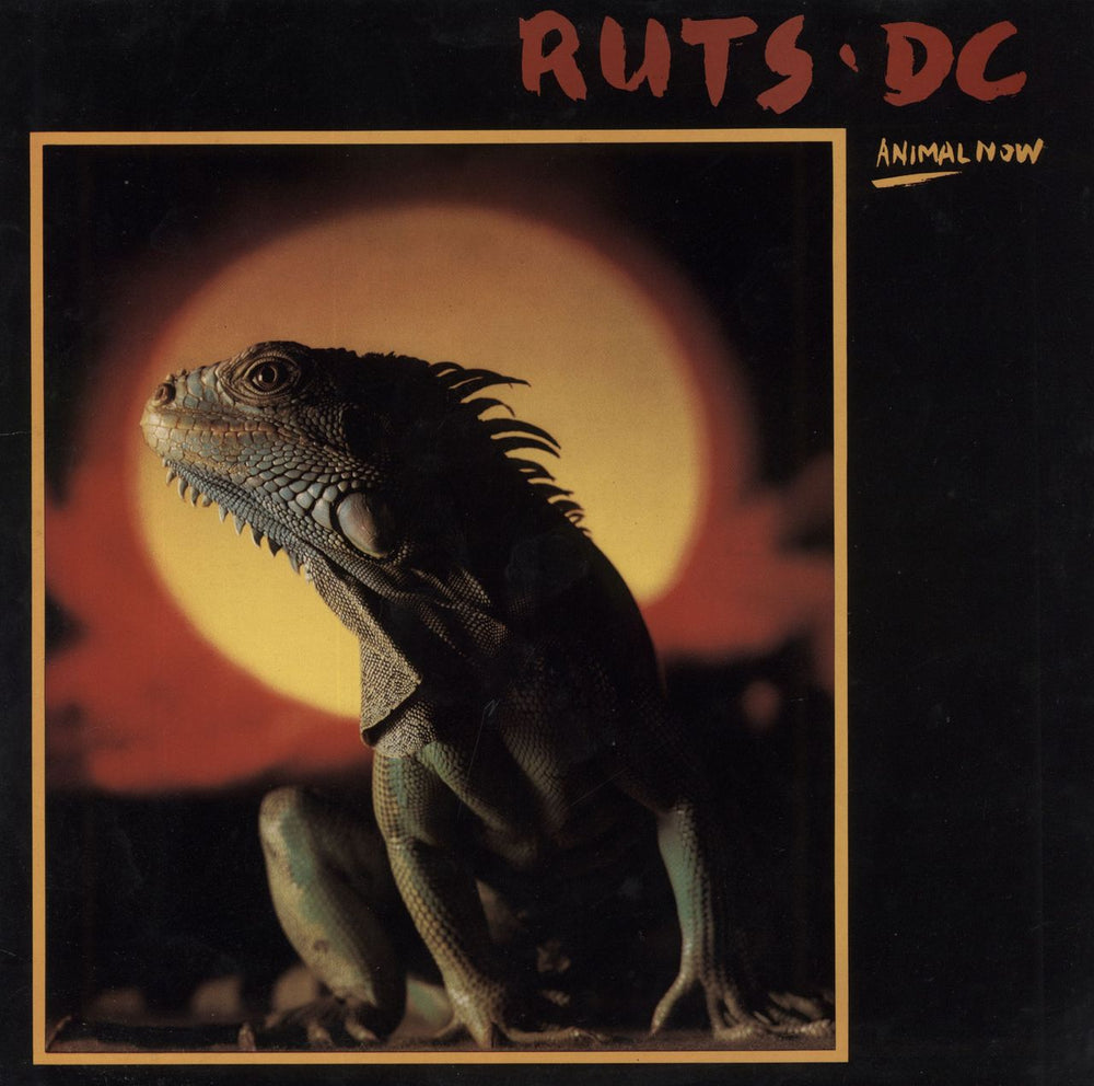 Ruts D.C. Animal Now UK vinyl LP album (LP record) V2193