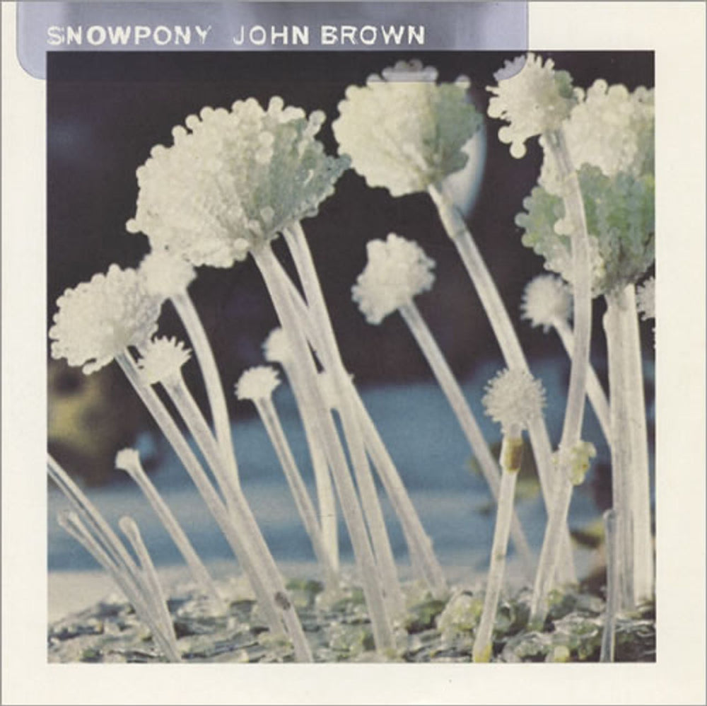 Snowpony John Brown UK 7" vinyl single (7 inch record / 45) RAX34