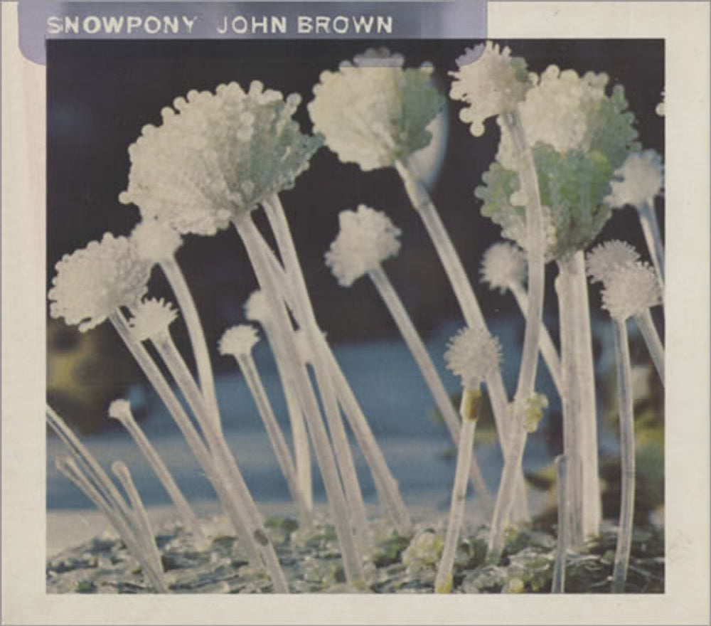 Snowpony John Brown UK CD single (CD5 / 5") RAXTD34