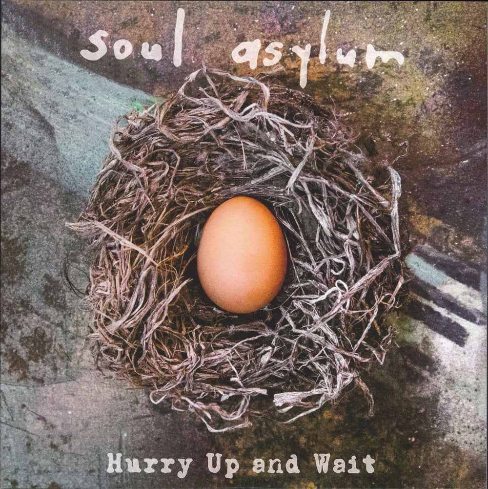 Soul Asylum Hurry Up and Wait UK 2-LP vinyl record set (Double LP Album) BER1251