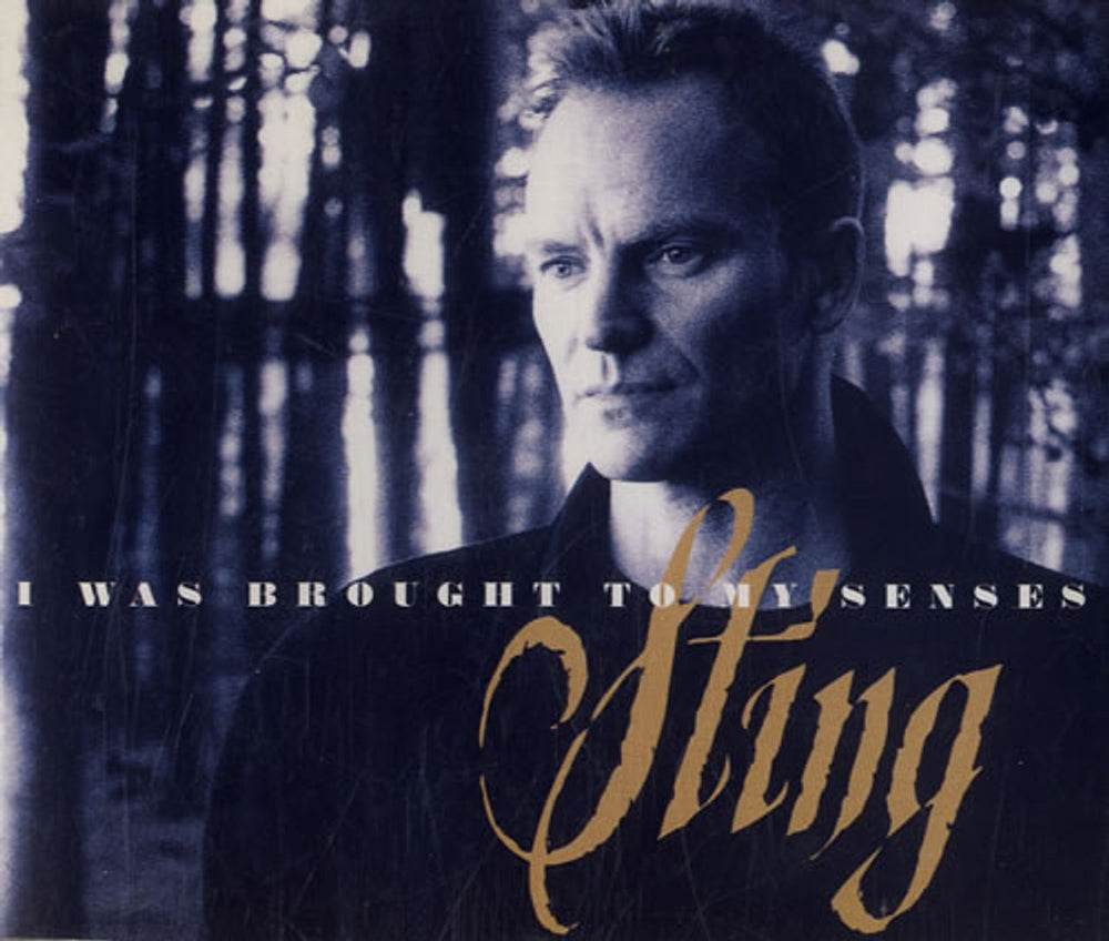 Sting I Was Brought To My Senses UK CD single (CD5 / 5") 588493-2