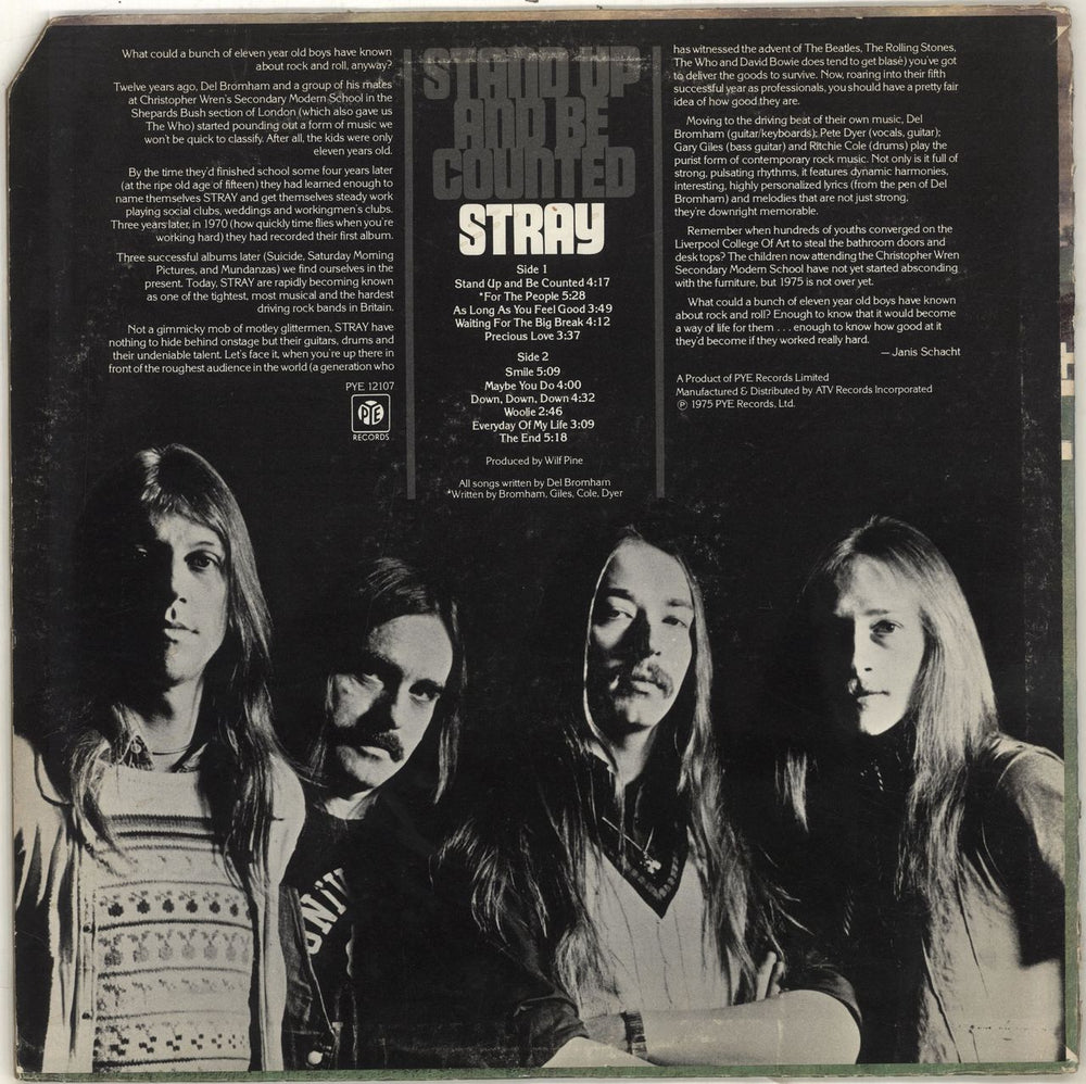 Stray Stand Up And Be Counted US vinyl LP album (LP record)