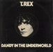 T-Rex / Tyrannosaurus Rex Dandy In The Underworld - VG UK vinyl LP album (LP record) BLN5005