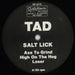 Tad Salt Lick German 12" vinyl single (12 inch record / Maxi-single) TAD12SA433271