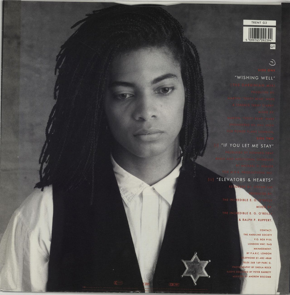 Terence Trent D'Arby Wishing Well - The Darbinian Mix UK 12" vinyl single (12 inch record / Maxi-single) TTD12WI74945