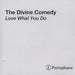 The Divine Comedy Love What You Do UK Promo CD-R acetate CD ACETATE