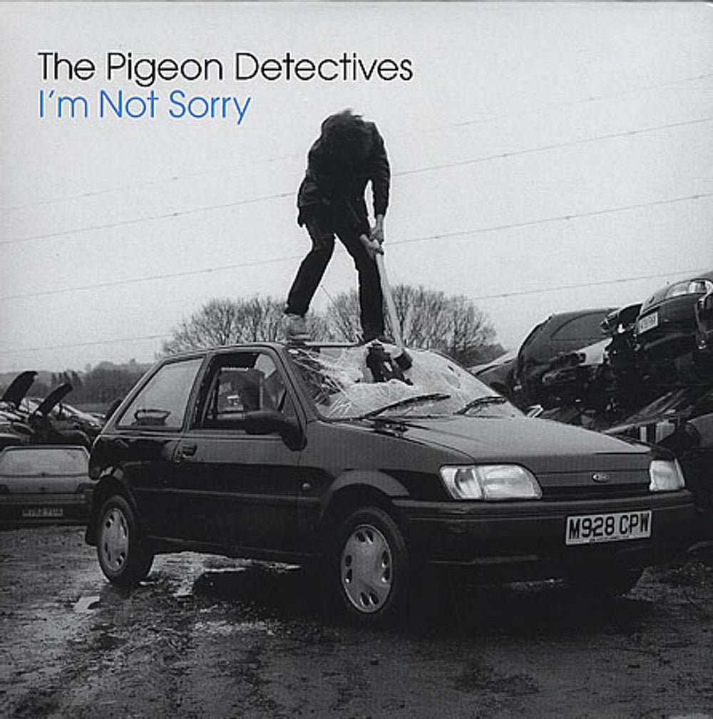 The Pigeon Detectives I'm Not Sorry UK 7" vinyl single (7 inch record / 45) DTTR029