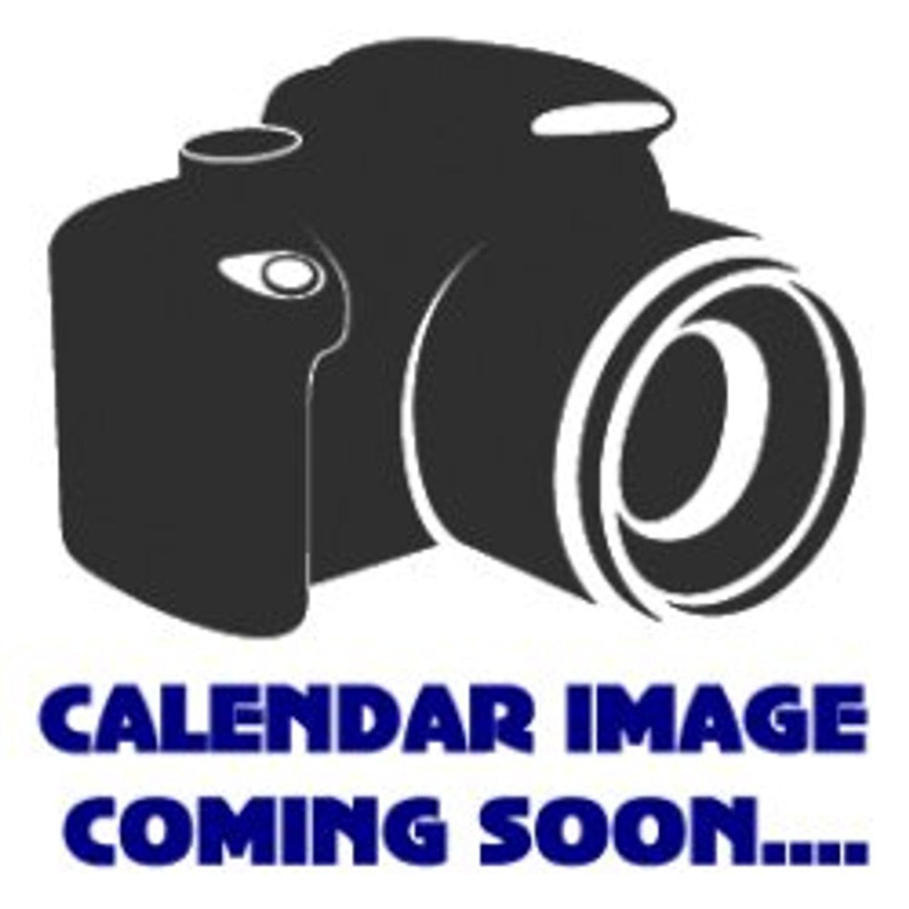 The Saturdays Official Calendar 2010 UK calendar 138