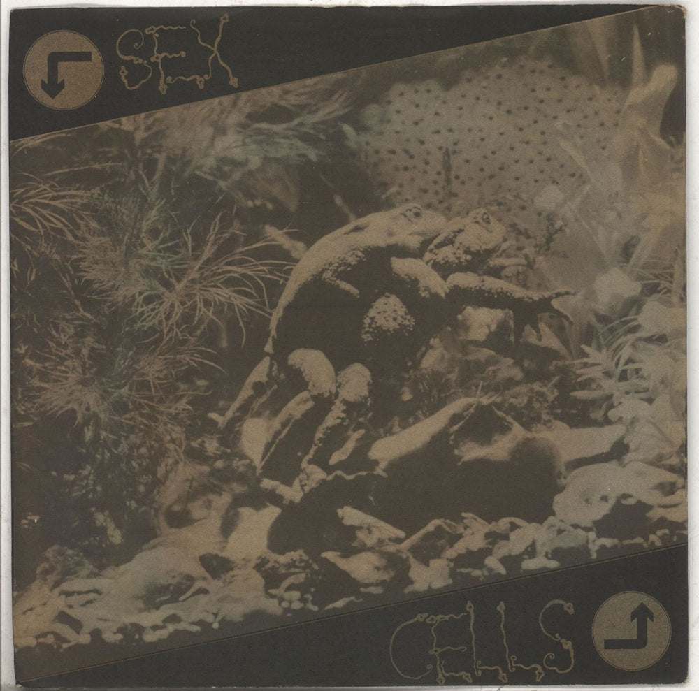 The Table Sex Cells UK 7" vinyl single (7 inch record / 45) NS31