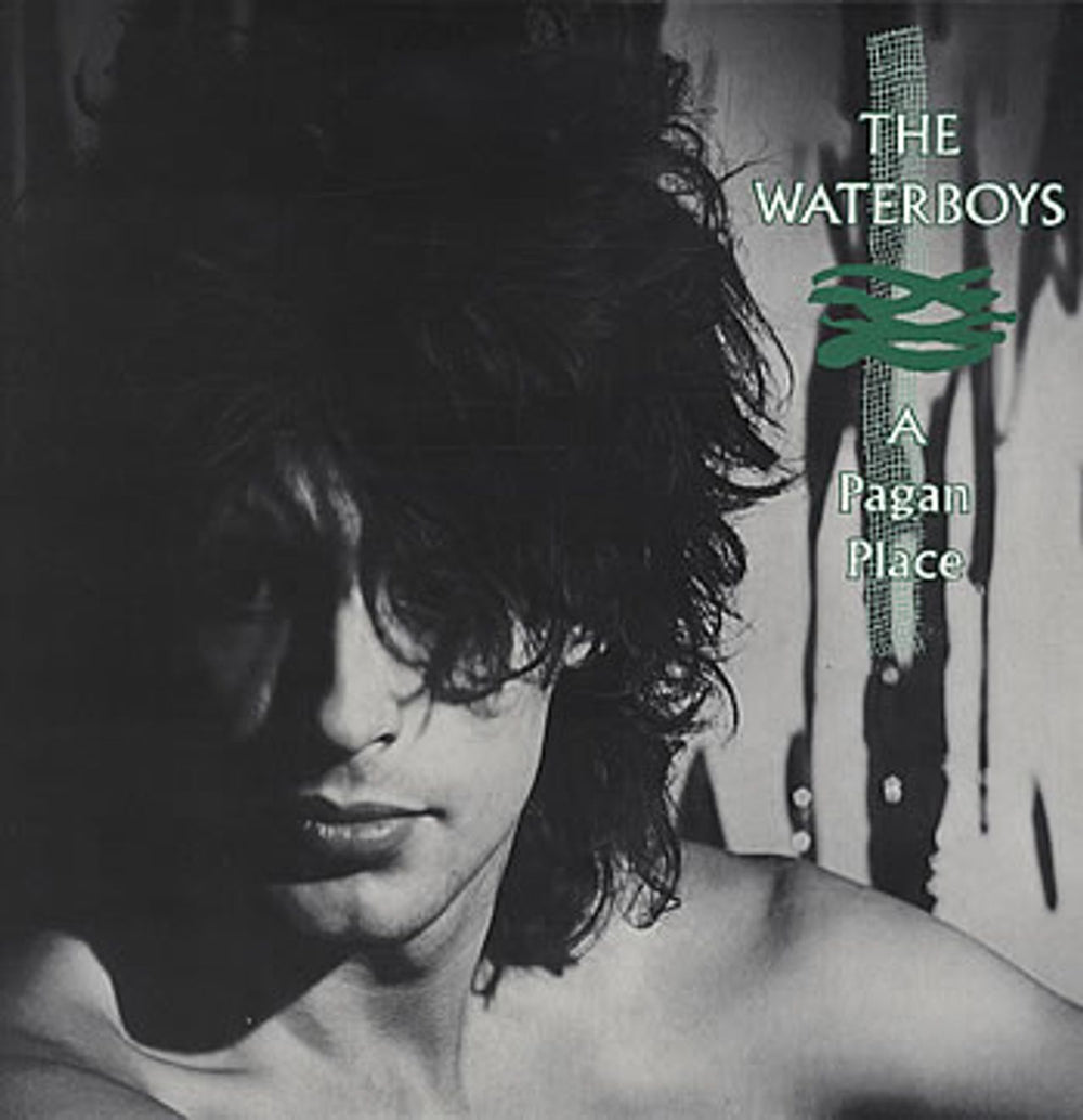 The Waterboys A Pagan Place US vinyl LP album (LP record) FV41542