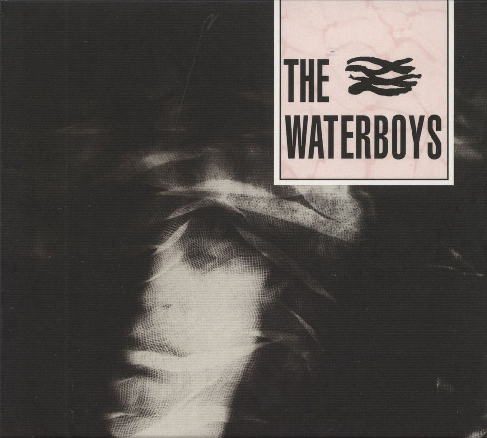 The Waterboys The Waterboys UK CD album (CDLP) CRC1084