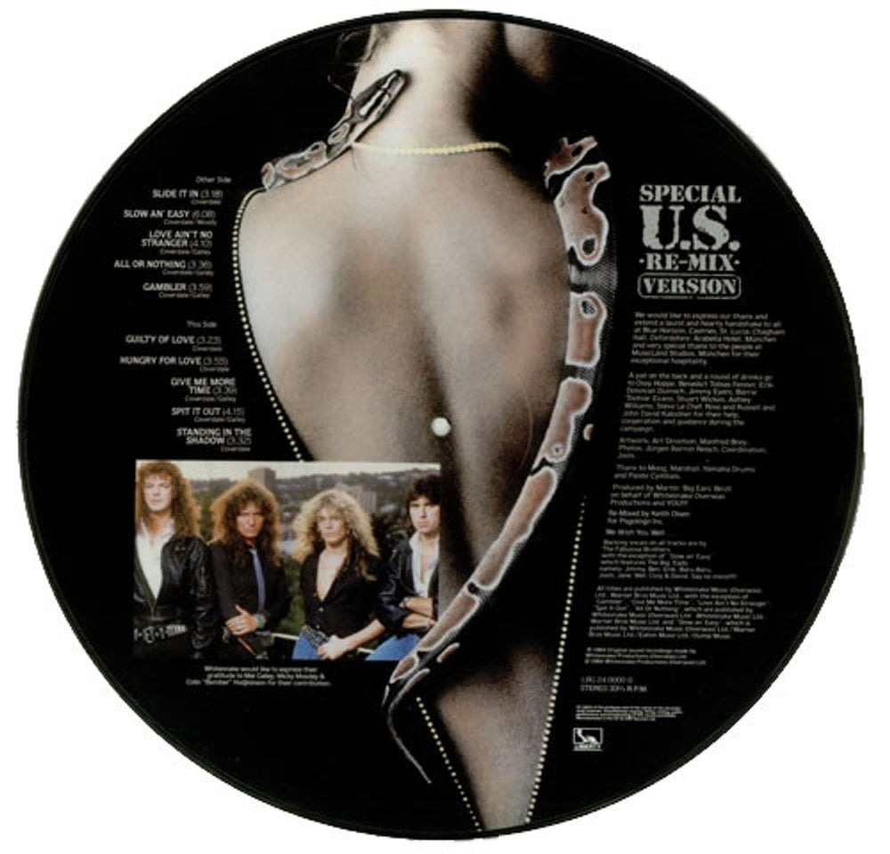 Whitesnake Slide It In UK picture disc LP (vinyl picture disc album) WHIPDSL01250