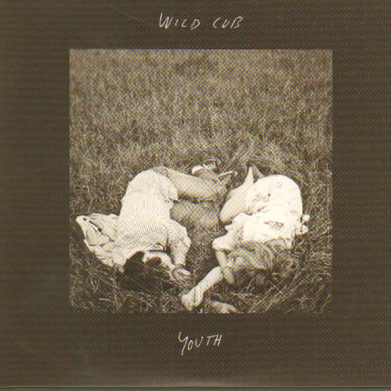 Wild Cub